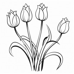 simple flower tulips drawing with bold and black lines
