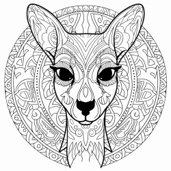 mandala cangaroo look straight forward