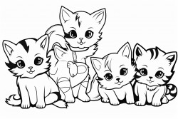 6 small kittens playing