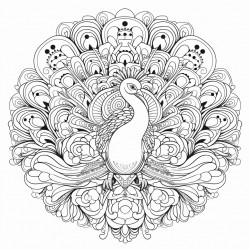 peacock mandala
