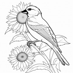 goldfinch on a sunflower