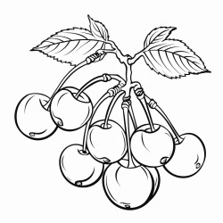 cherries