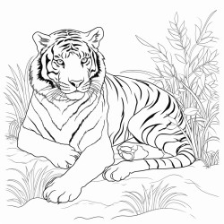 a majestic tiger lounging in the shade