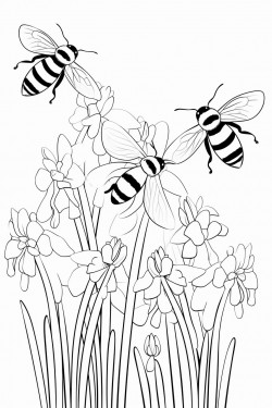 honey bees buzz among the snowdrop flowers