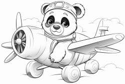 panda on a plane