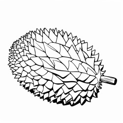 1 durian clipart