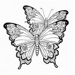 des papillons