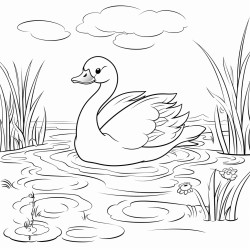dragonly on a pond