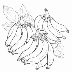 bananas