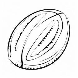 a rugby ball