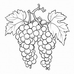 grape