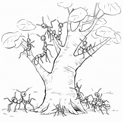 several ants walking along the trunk of a tree