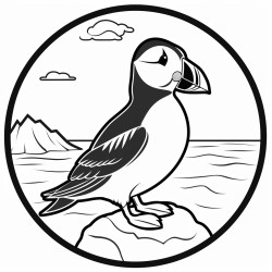 a cute icelandic atlantic puffin