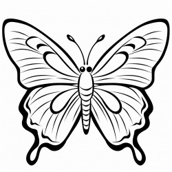 des papillons