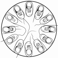 12 shoes in a circle