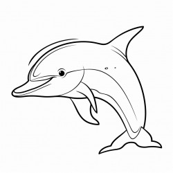 dolphin