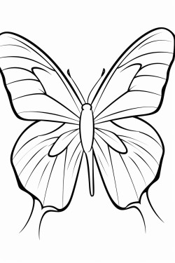 male buttefly flying in stary sky