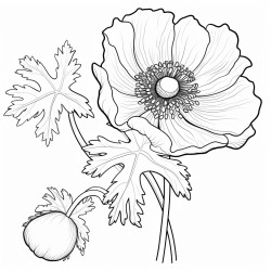 anemone in wild life