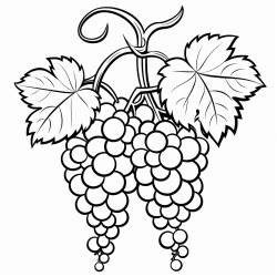 grapes