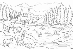a winding frozen river lined with frosty trees and rocks woodland animals like foxes deer and rabbits skate playfully on the ice each animal has a unique pose and their fur is dusted with snowflakes small pine trees and snowcovered rocks surround the scene