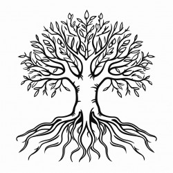 tree with roots