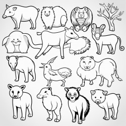 animals