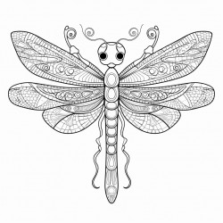 intricate blackandwhite dragonfly with zentangle and mandala patterns in a highcontrast handdrawn style