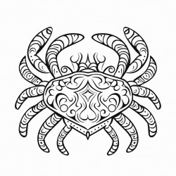 create giant crab with mandala pattern on it and nature art in back ground and sides