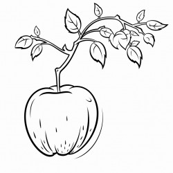 apple on the tree with small letter a