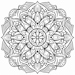 a mandala with intricate geometric paisley patterns