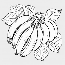 bananas