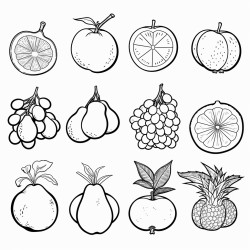 of the different fruits of the seasons