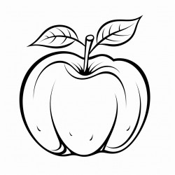 apple fruit