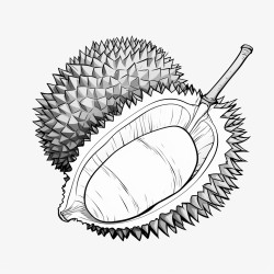 durian clipart
