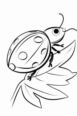 ladybug sitting on a leaf