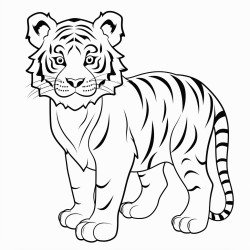 tiger