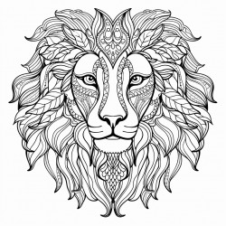 lion