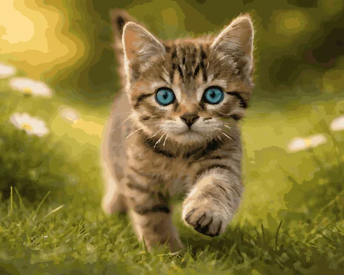 Vista previa de feedback