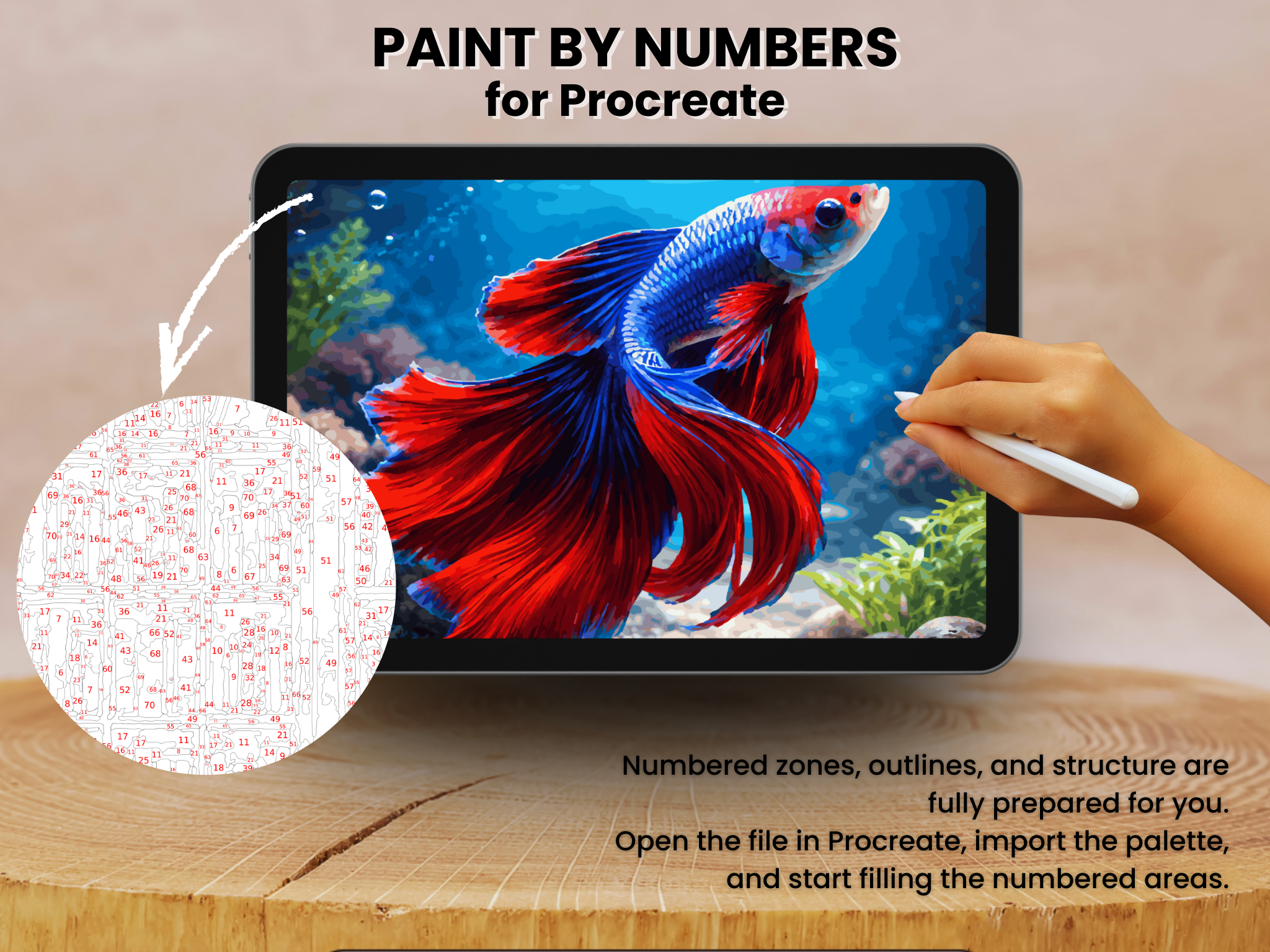 Betta Fish Paint by Number for Procreate – Colorful Aquarium Art | Digital Download