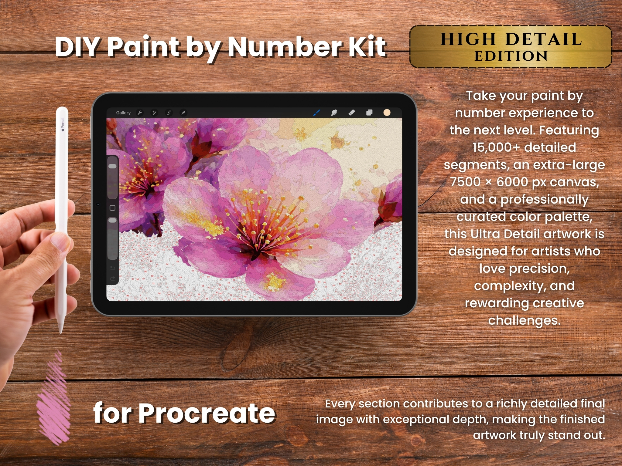 Затишне читання відьма фарбами по номерах для Procreate – Осіння магія та чорний кіт | Цифрове завантаження