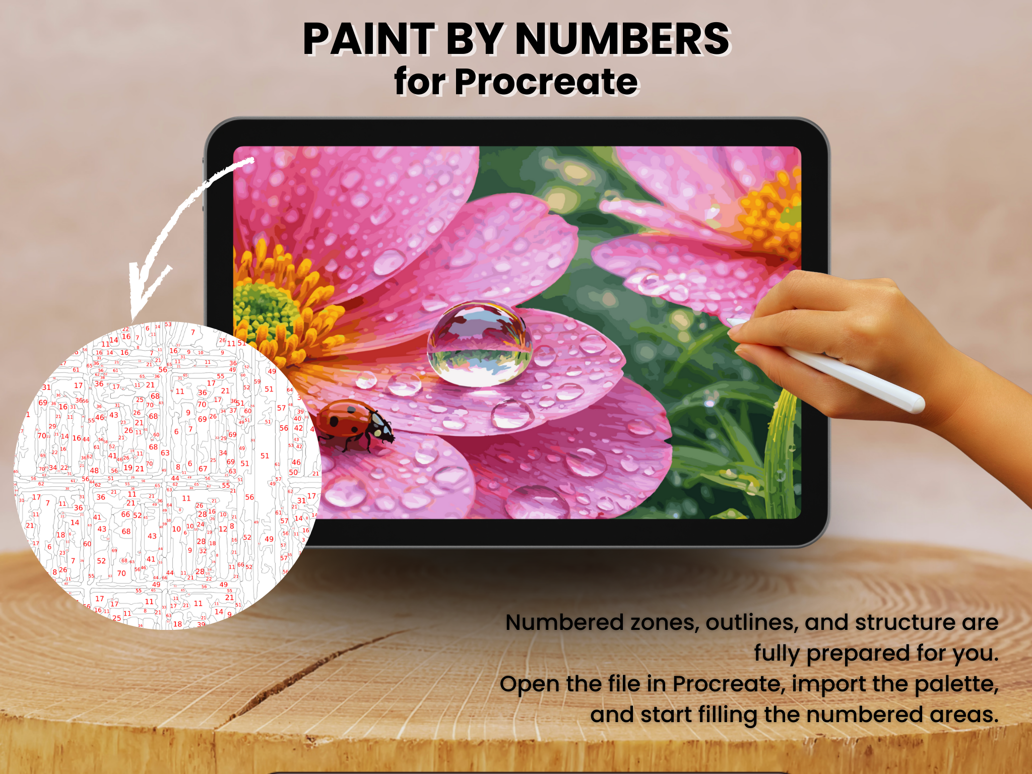 Dewy Pink Flower Paint by Number for Procreate – Soft Botanical Mood | Digital Download