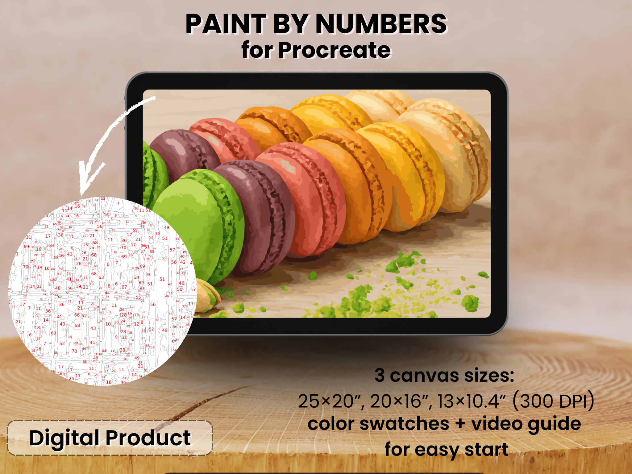 Macaron Rainbow Paint by Number | Procreate Canvas (Digital Download)