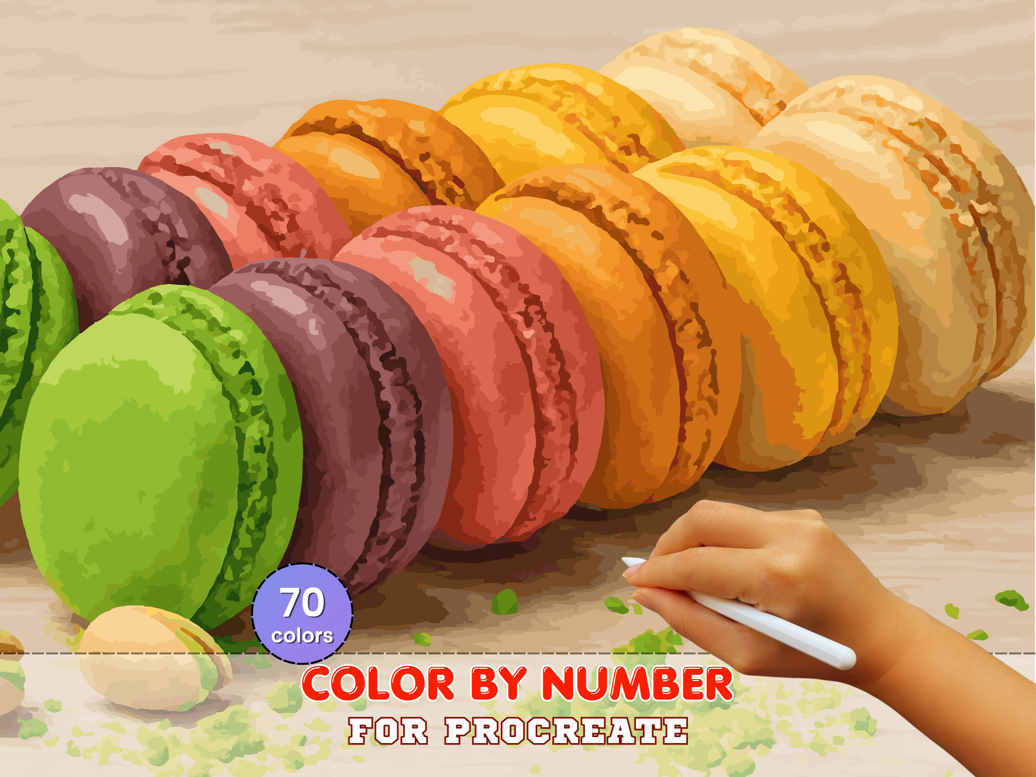 Macaron Rainbow Paint by Number | Procreate Canvas (Digital Download)