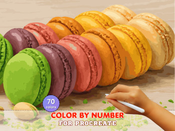 Macaron Rainbow Paint by Number | Procreate Canvas (Digital Download)
