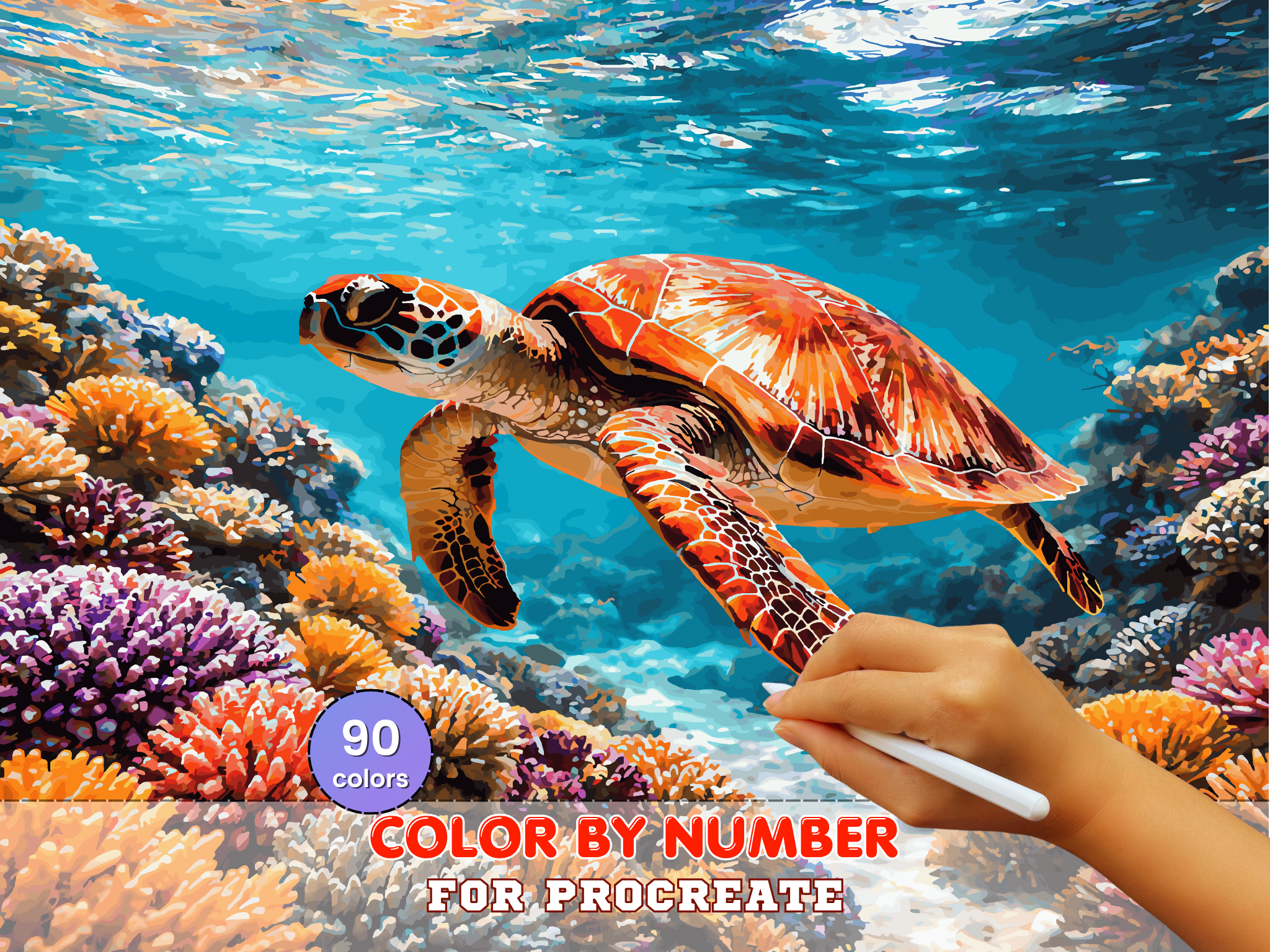 Sea Turtle Color by Number, Procreate Ocean Art (Digital Download)