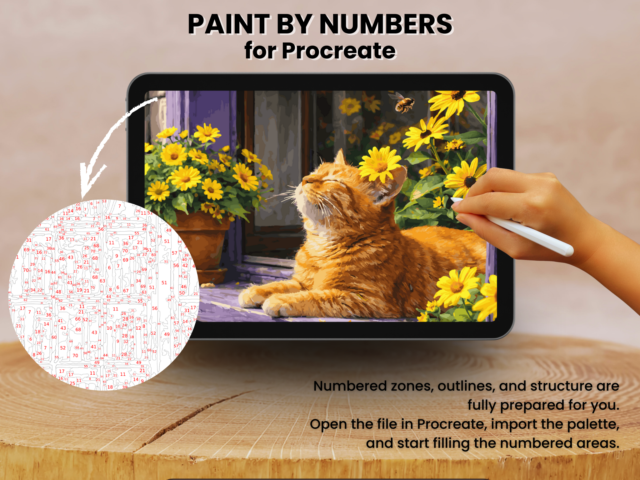 Sunlit Ginger Cat Paint by Number for Procreate – Cozy Garden Mood | Digital Download
